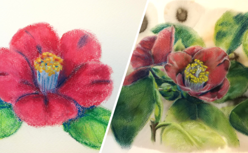 冬花 椿の描き方 ソフトパステル オイルパステルで簡単 パステル画を描く