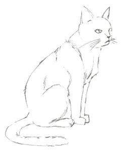 猫の書き方 簡単な描き方 パステルの塗り方 使い方も紹介 パステル画を描く全ての人のための情報共有