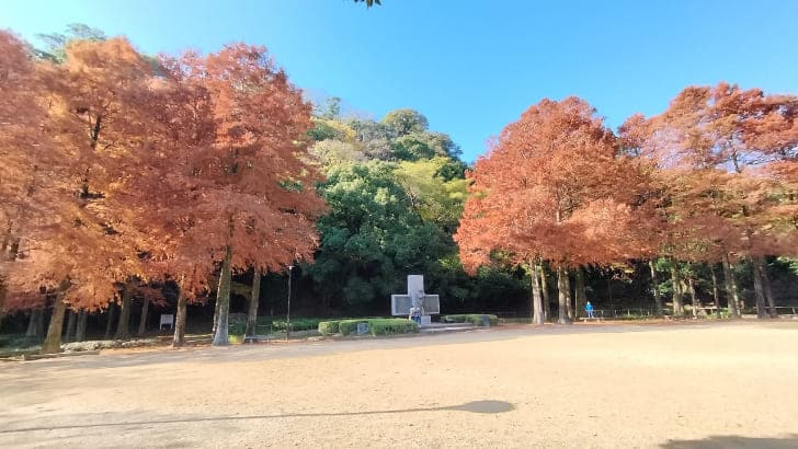 紅葉した三角の木