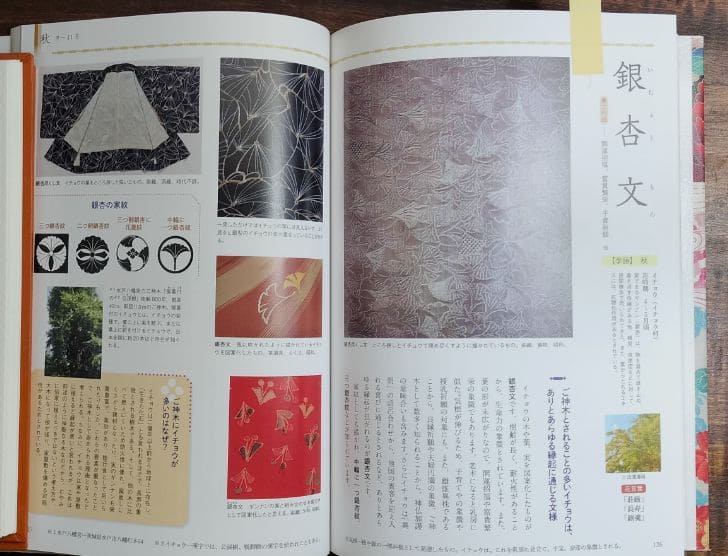 日本の模様の本のイチョウのページの写真