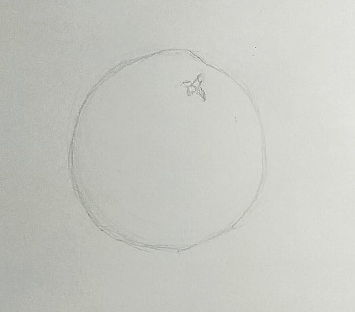 かぼすのスケッチの完成画