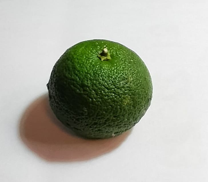 モチーフ「かぼす」の写真